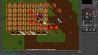 Jamerian Killer's (tibia Jamera)