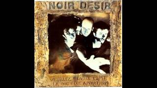 Video thumbnail of "Les écorchés - Noir Désir (cover)"