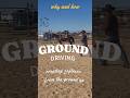 Ground Driving #younghorse #softness & #horse #training #fypシ゚ #coltstarting #futurity #driving #equ