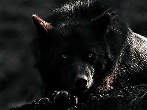 كلام من ذهب نصائح تغي ر حياتك عبارات ملهمة وواقعية