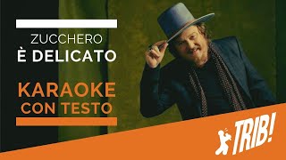 Video thumbnail of "E' Delicato by Zucchero (Instrumental Version - KARAOKE CON TESTO)"
