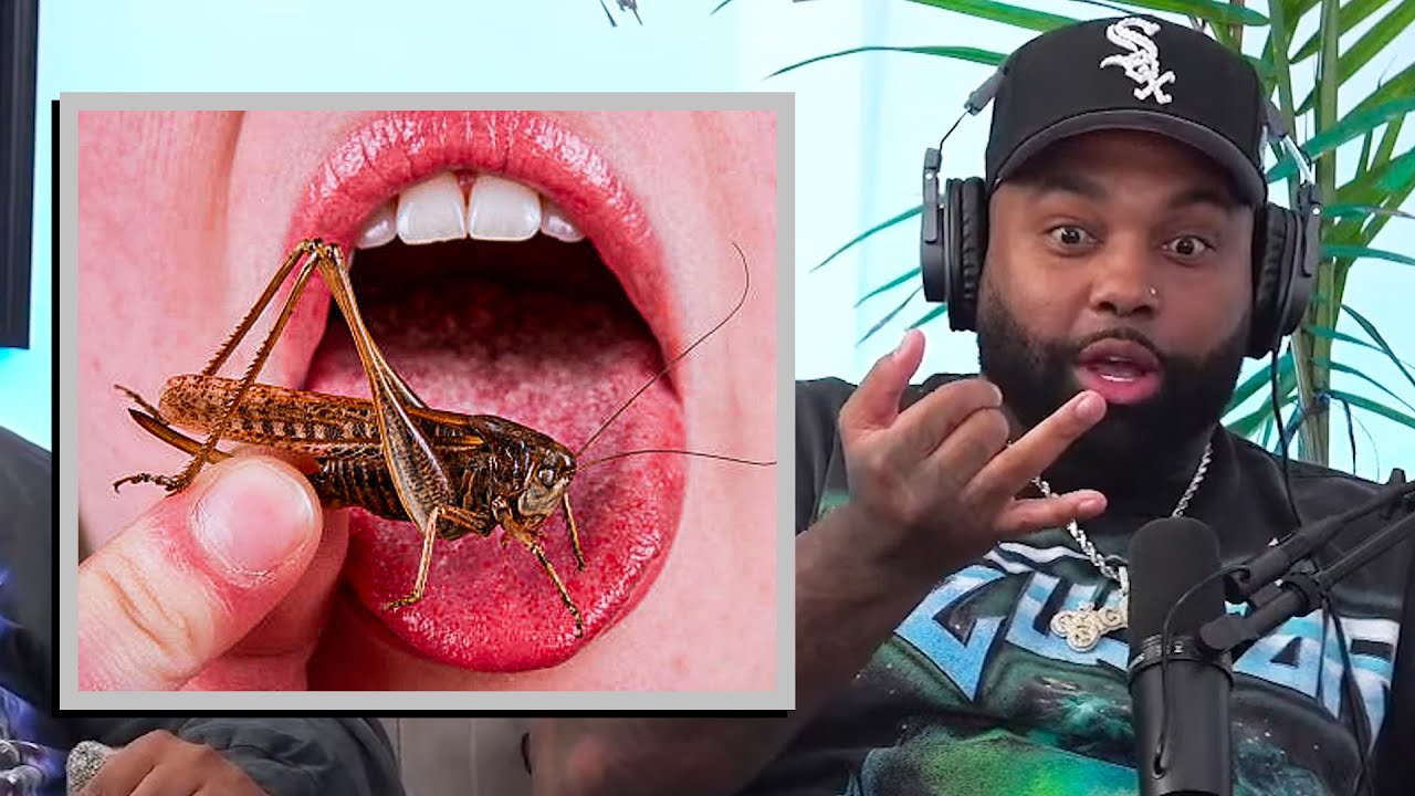 Would You Eat A Roach? YouTube