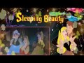 Sleeping Beauty 1959 Cartoon Animated Movie New