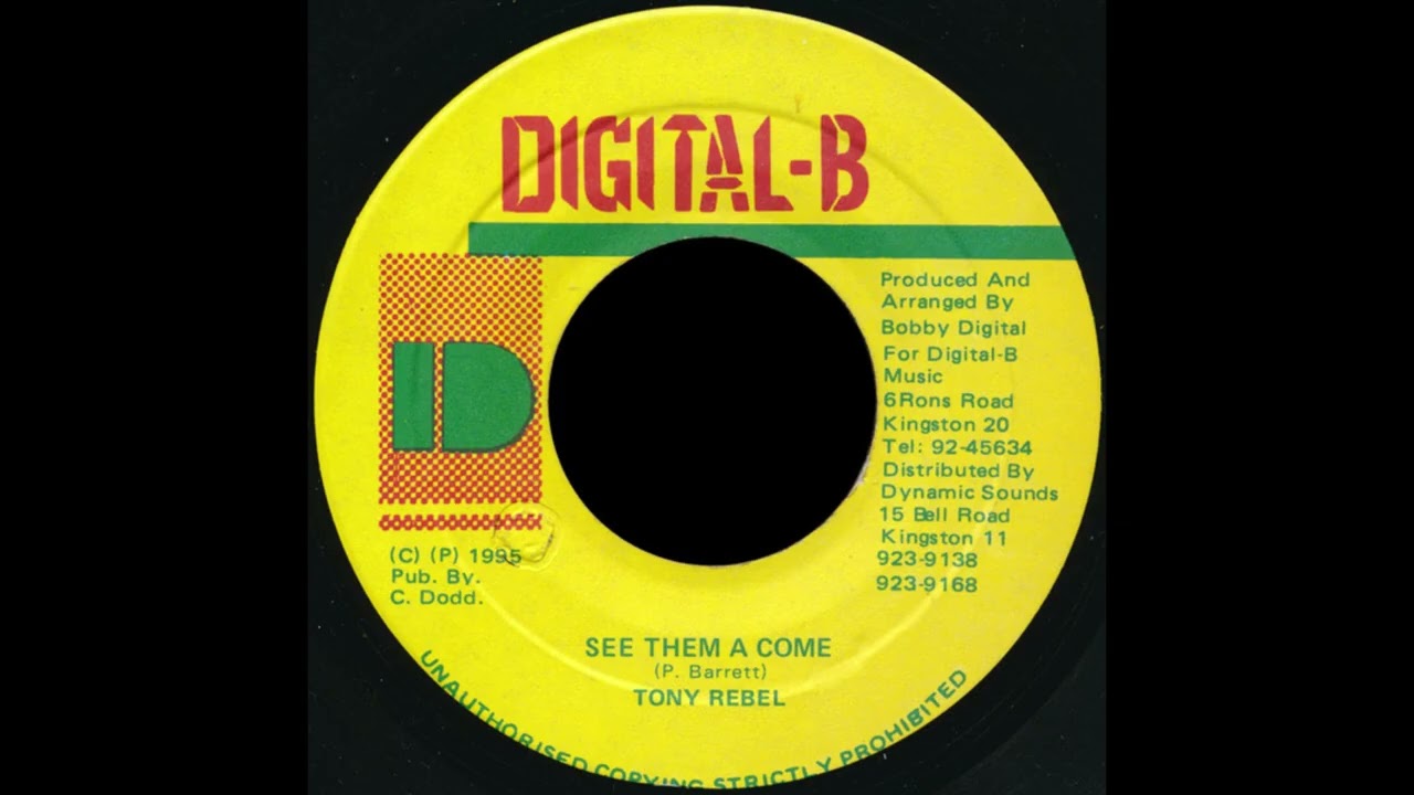 洋楽 TONY REBEL / REGGAE IT A COME tony rebel see them a come - YouTube
