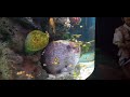 Sea world Siam paragon Thailand