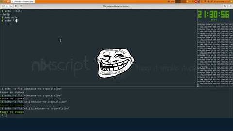 Bash #1 echo, escape-последовательности и переменные