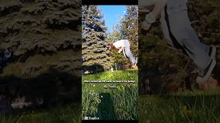 𝙅𝙐𝙈𝙋 𝙏𝙐𝙏𝙊𝙍𝙄𝘼𝙇 𝘽𝙔 𝙉𝘼𝙏𝙄🐾#quadrobics #therian #quadrobics#alterhuman #theriantropy #quadrobics