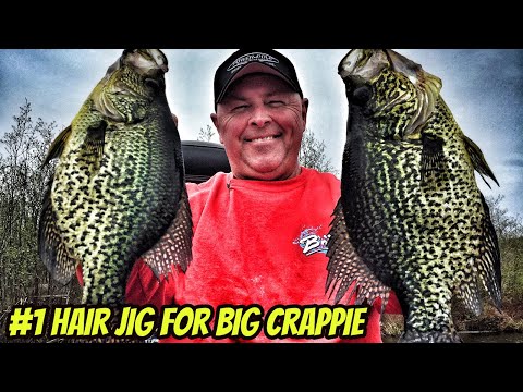 1 HAIR JIG FOR BIG CRAPPIE- Teaser 