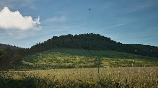 Recreating the valley I grew up in with Unreal Engine 5 @evilmrfrank