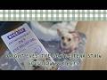 Keeping pet eyes clean with HICC PET Gel