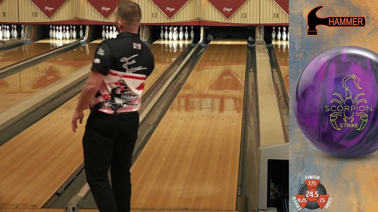 Hammer Scorpion Strike | Frank Snodgrass