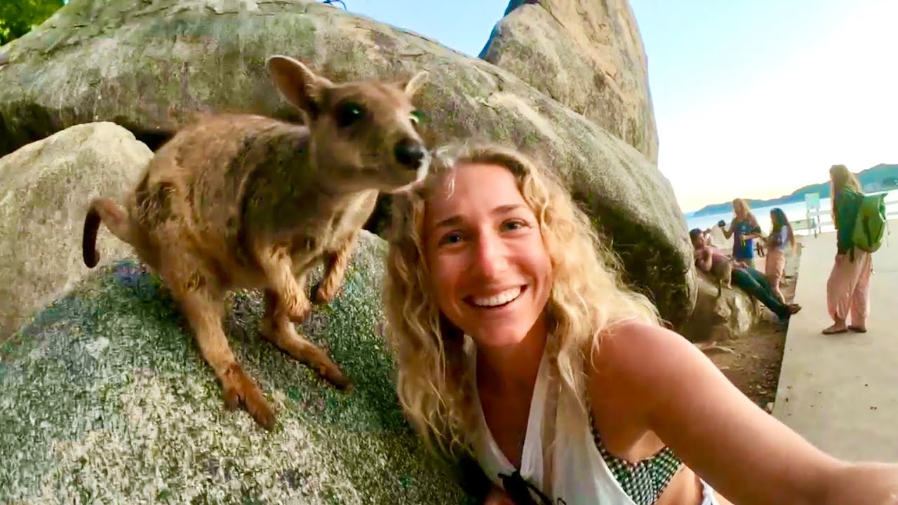 Wallaby’s Down Under want your Attention! 🦘(Expedition Drenched S02Ep4)