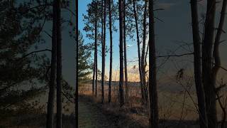 Whitetail Woods Regional Park in Farmington, MN 🎄🌾#minnesota #hiking