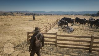 RDR2 - Hunting all buffalos in a farm in great plain