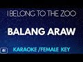 I Belong To The Zoo (Karaoke /Acoustic Instrumental) [Female Key]