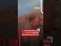 أسير يتعرض للضرب والإهانة على يد عناصر من العشائر اخبار المشهد أسير يتعرض للضرب والإهانة على يد عناصر من العشائر اخبار المشهد