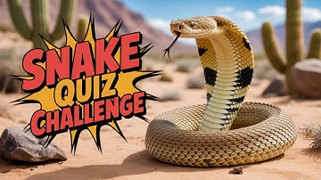 Can You Name These Snakes? | Test Your Knowledge of Venomous & Harmless Snakes