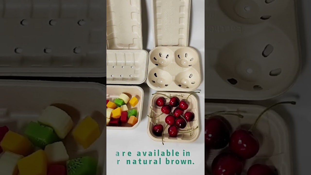 Green Packaging Innovations: Wholesale Custom Molded Fiber and Pulp Products – Biodegradable, Re