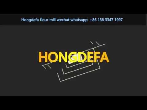 european-client-visit-our-hongdefa-maize-flour-milling-machine-factory