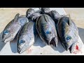 Homemade Sushi Challenge! Catch Clean Cook- Blackfin Tuna