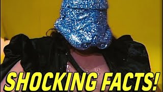 The Shockmaster Returns With More Shocking Facts Ricky Steamboat Edition