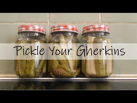 Pickling & Preserving🥫Pickle Your
