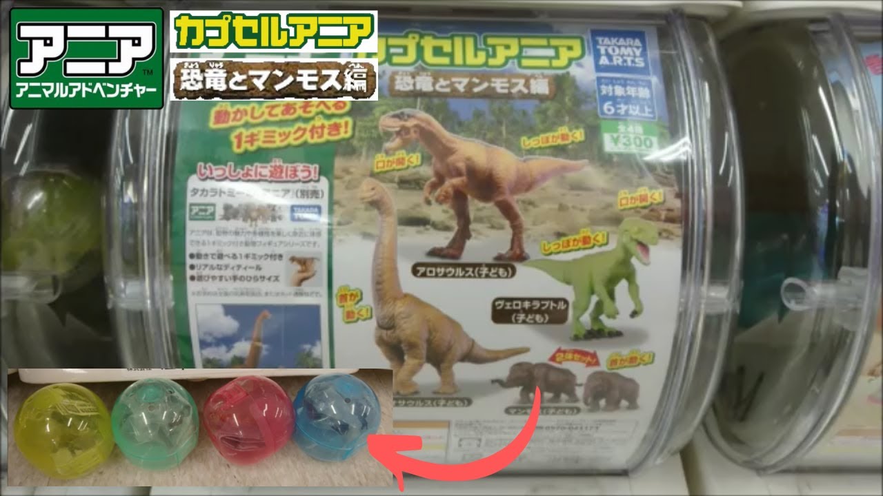 古生物玩具】カプセルアニア「恐竜とマンモス編」 - YouTube