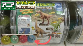 古生物玩具】カプセルアニア「恐竜とマンモス編」 - YouTube