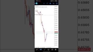 AUD CPI January 2024 Fundamental News Trading