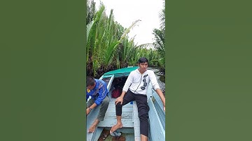 Pohon Nipah Desa Cimpungan