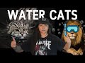 Cats that evolved for life in the water