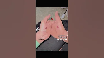 بحبك واداري ليلي ونهاري عملت بحب ايه 