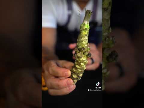 Fresh wasabi VS