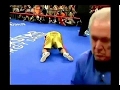 Greatest body punch in boxing mike rjhorne