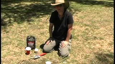 Pitfall_collecting.mp4