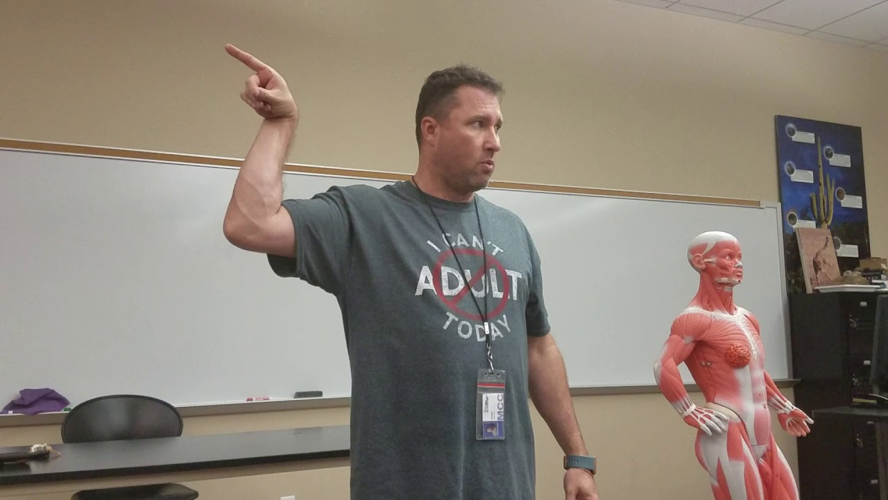 BIO 160 Phillip Garrison-Muscles