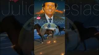 #julioiglesias