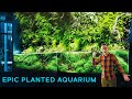 17-Foot Aquarium with Massive Living Wall — EPIC AQUASCAPE