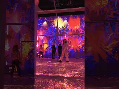 La Serre des Mondes au Futuroscope | Moment Factory