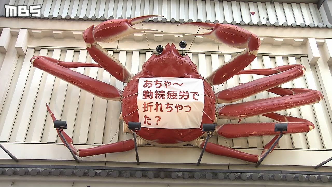 お見舞い歓迎！名物『かに看板』勤続24年で脚が折れた？！この姿は4日間限定（2020年10月20日）