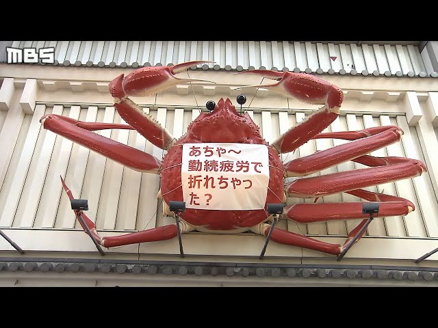 お見舞い歓迎！名物『かに看板』勤続24年で脚が折れた？！この姿は4