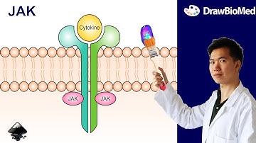How to draw JAK cytokine receptor in Inkscape | JAK STAT pathway Part 1 | Graphical Abstract