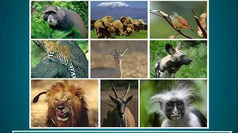 Incredible Science Class 2-Chapter 3-Page Number 29