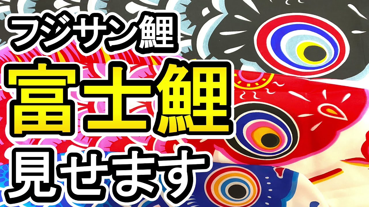 3点まとめ売り 富士鯉 7m こいのぼり 五月 節句 鯉のぼり 富士鯉 黒鯉 6m 真鯉 こいのぼり 五月 節句 こどもの日