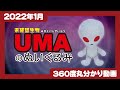 【2022年1月発売】UMAのぬいぐるみ＜発売店舗情報は概要欄をチェック＞