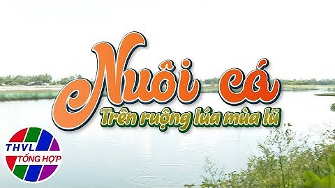 Nhịp sống đồng bằng: Nuôi cá trên ruộng lúa mùa lũ