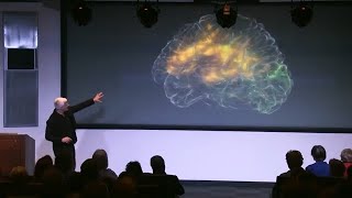 Celebrity What if you could see inside your brain? Net Worth