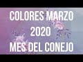 COLORES PARA MARZO 2020 MES DEL CONEJO | Mónica Koppel