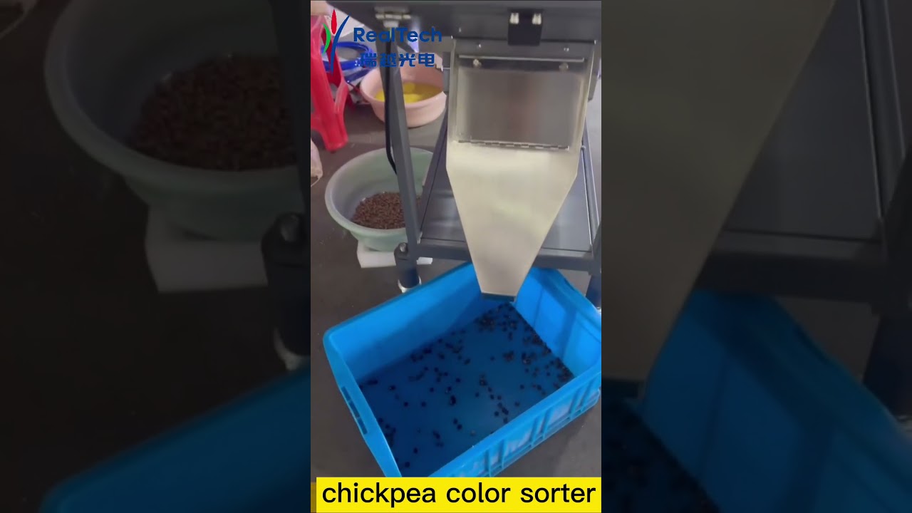 belt color sorting chickpea colour sorter 