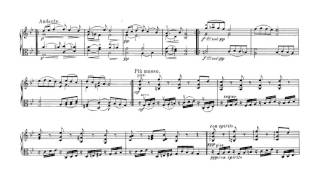Passacaglia for Violin and Viola in G minor after Handel - Halvorsen (Score) Resimi